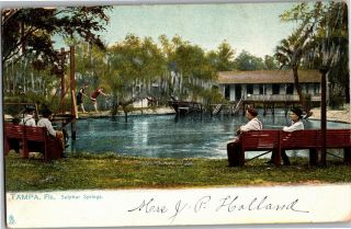Tucks 2100 Tampa Fl Sulphur Springs Swimmers Benches Vintage Postcard R24
