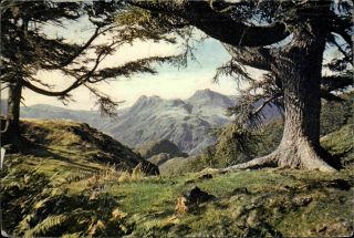 Langdale Pikes,  Lingmoor Fell,  Westmorland - Old Postcard - Posted 1968