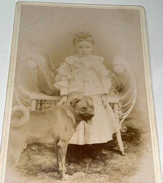 Rare Antique Victorian American Cute Child,  Pet Dog Hampshire Cabinet Photo
