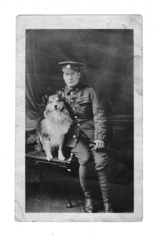 Vintage Postcard World War 1 Canadian Soldier With Dog