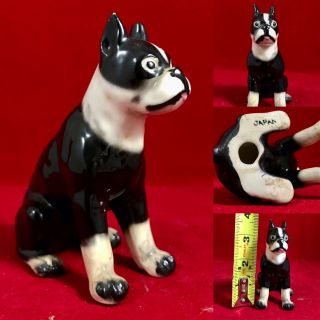 Vintage French Bull Dog Boston Terrier Ceramic Figurine Japan Painted A,