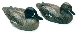 Vintage Black Duck Couple,  Decoy,  Hand Carved/ Painted,  Glass Eyes