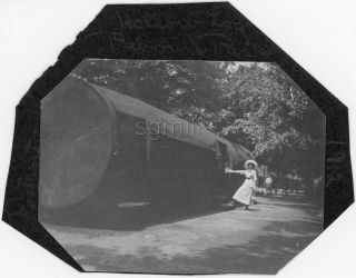 5 Antique 1912 Photos Palmer Park Detroit Mi Hollow Log Cabin Pond