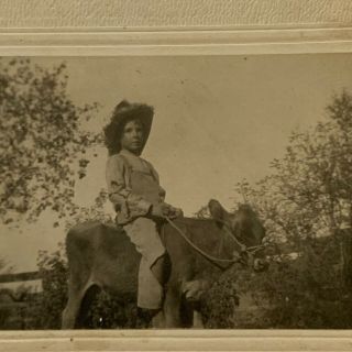 Antique Cabinet Card Photograph Little Boy Cow Calf Cowboy ID Harlan Golston 2