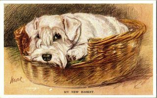 Vintage Mac Lucy Dawson - Sealyham Terrier - Valentine 