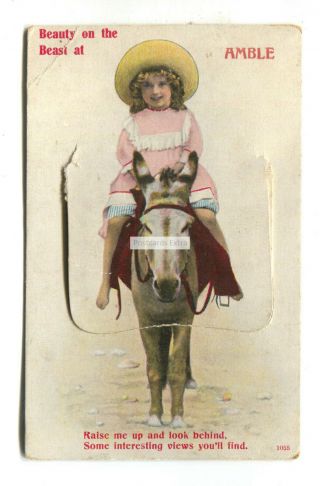 Amble,  Northumberland - Old Novelty Pull - Out Postcard - Girl On Donkey