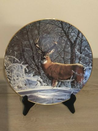 Winter Whitetail Deer Plate By Bruce Miller,  Decorative Collectors Plate