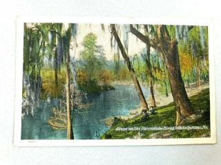 Vintage Postcard Scene On The Suwannee River White Springs Fl Florida
