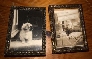 2 X Vintage 1930’s Small Metal Frames - Made In Denmark With Photos Cat & Dog