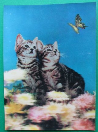 Vintage 3d Postcard Two Kittens And A Butterfly