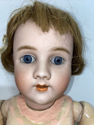 Antique German 30” Heinrich Handwerck Simon Halbig German Doll 6 1/2 Bisq 2