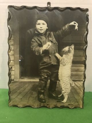 Antique Framed Photograph Of A Little Boy & His Cat