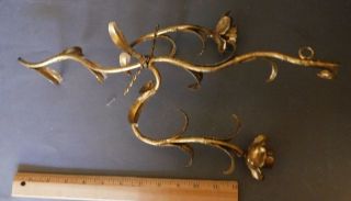 VINTAGE VICTORIAN GOLD GILT ITALY FLORENTINE WALL SCONCE CANDLE HOLDER FLOWERS 2