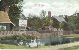 Berkshire Maidenhead ? The Old Fox 1905 Vintage Postcard 13.  11