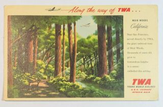 Vintage Twa Trans World Airlines Line Postcard - Plane - Muir Woods - Redwood Trees
