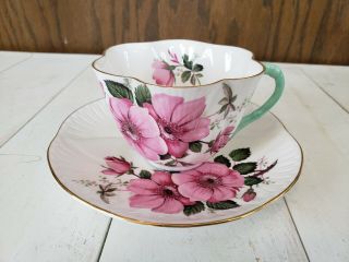 Vintage Shelley Fine Bone China Tea Cup And Saucer Pink Wild Roses Green Handle