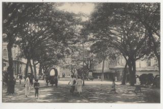 York Street Looking Towards The Jetty Colombo Ceylon Vintage Postcard Us050
