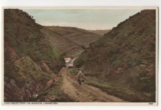 Gwili Valley From The Reservoir Carmarthen Vintage Postcard Williams 151c