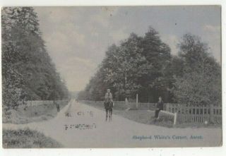 Ascot Shepherd Whites Corner Berkshire 26 Jul 1911 Vintage Postcard 325c