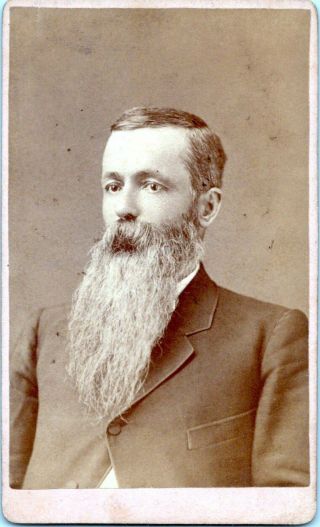 Cincinnati Ohio Cdv 1870s Man With Long Beard Brownell Carte De Visite Photo