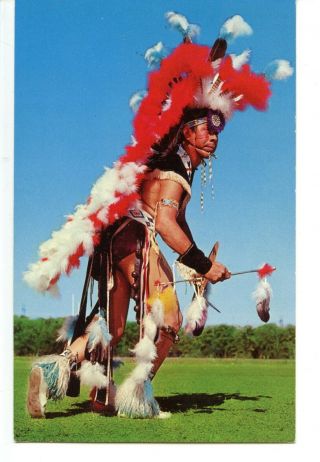 Native American Indian Man In Full Dress - Feather Headdress - Vintage Postcard