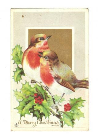 Old Vintage Antique Embossed Postcard Merry Christmas Greeting Card Song Birds