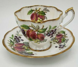 Vintage Queen Anne England Fine Bone China Fruit Series Tea Cup And Saucer Set