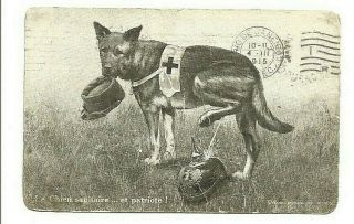 Vintage Ww1 - Era Postcard; French Army; Red Cross Dog,  Patriotic,  Anti - German