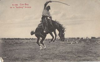 Old Postcard Of A Cowboy On A Bucking Bronco Horse Old West
