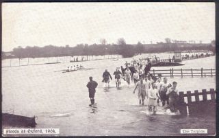 Oxford,  Floods At The Torpids,  1904.  1905 Vintage Postcard.  Uk Postage