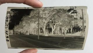 Vintage Photograph Negative Orleans La St.  Charles Avenue Street Scene 724