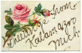 Kalamazoo Mi Greetings From Old Postcard - Michigan