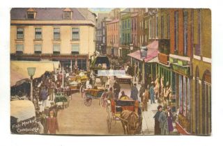 Cambridge - Fish Market - Old Postcard