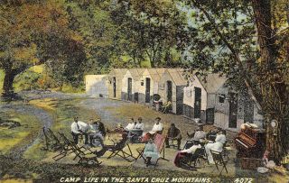 Camp Life In The Santa Cruz Mountains Tent Cabins Camping 1910s Vintage Postcard