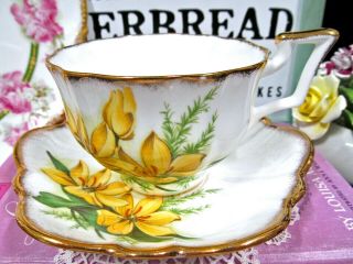Salisbury Tea Cup And Saucer Painted Floral Golden Lotus Teacup Scalloped Edges