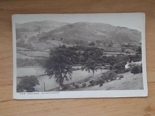 Vintage Postcard - Cwm Coedrwg - Glyndyfrdwy - Wales