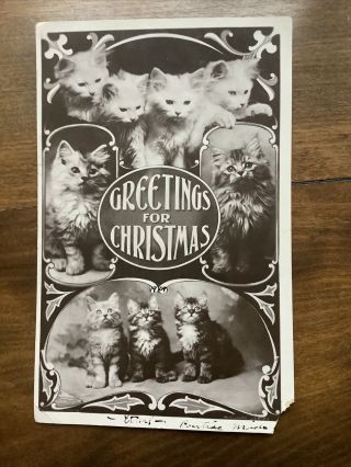Vintage Christmas Real Photo Postcard Cats Kittens 1909 Rppc