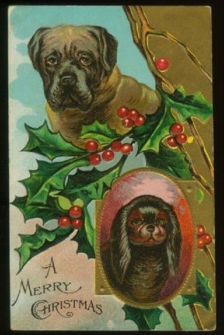 110620r Vintage Christmas Postcards Dogs And Holly C 1910 Embossed