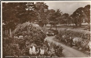Clent Foresters Convalescent Home Approach Old Unposted Real Photograph