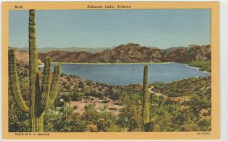 Sahuaro Lake,  Az Postcard Giant Saguaro Cactus Desert Vintage Cacti Old Linen