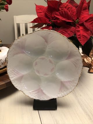 Antique Weimar Porcelain Oyster Plate 8.  5 " Scalloped Gold Edge Pink White
