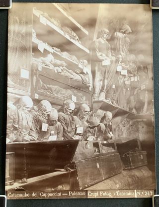 Antique Albumen Photograph Print G.  Crupi C.  1890 Italy Palermo Crypt Catacomb