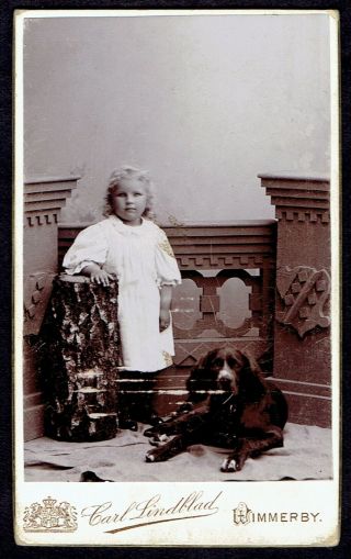 Cdv Photo Girl With Dog Sweden (5220)