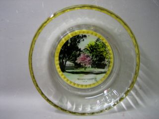 Botanical Gardens Colac Glass Dish