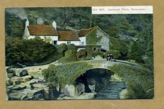 Old Mill,  Jesmond Dene,  Newcastle.  - V¹ - Vintage Blank Postcard
