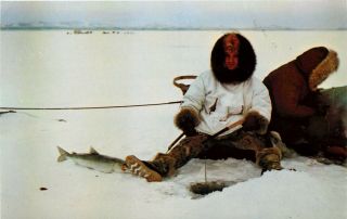 Old Chrome Postcard Ak D105 Man Fishing Through The Ice On Kobuk Lake Kotzebue