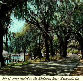 Isle Of Hope Path Skidaway River Trees Recreation Savannah Ga Vintage Postcard