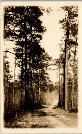 Country Roads Drive Through Pines,  Southern Pines Nc 1930 Rppc Vtg Postcard Pba
