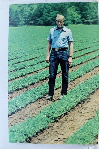 President Jimmy Carter Peanut Farm Field Postcard Old Vintage Card View Standard