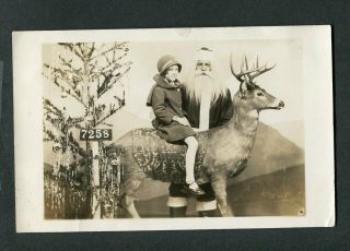 Vintage Photo Christmas Postcard Girl On Reindeer W/ Santa Clause 438050